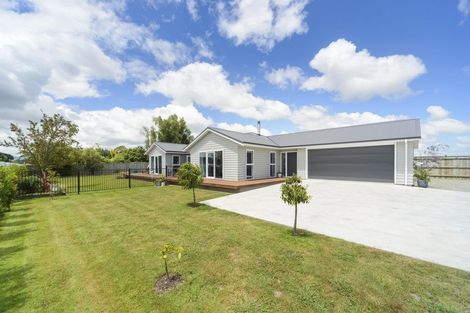 Photo of property in 821 Stoney Creek Road, Bunnythorpe, Palmerston North, 4478