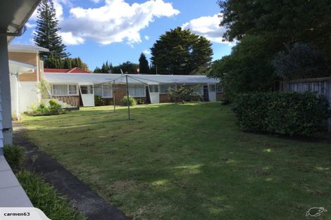 Photo of property in 52 Buscomb Avenue, Henderson, Auckland, 0610