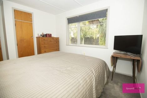 Photo of property in 38 Kettle Avenue, Awapuni, Palmerston North, 4412