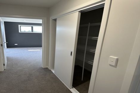 Photo of property in 51 Probert Crescent, Chartwell, Hamilton, 3210