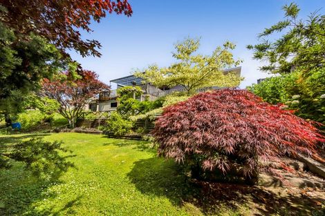 Photo of property in 24 Cassandra Street, Stratford, 4332