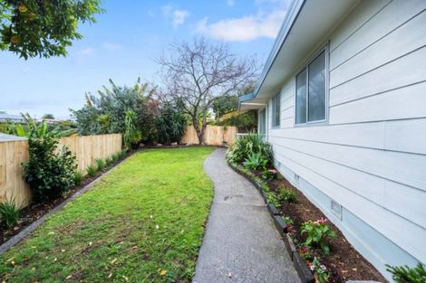 Photo of property in 65b Sherson Street, Gate Pa, Tauranga, 3112