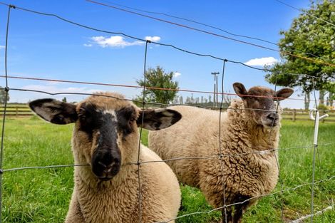 Photo of property in 11 No 5 Road, Springdale, Waitoa, 3380