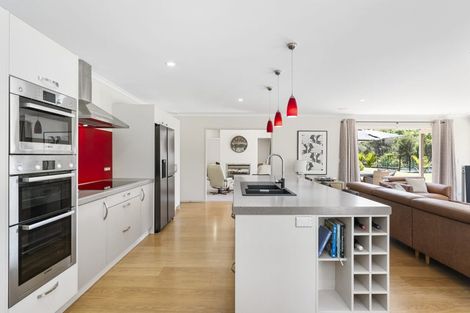 Photo of property in 17 Kahia Lane, Redvale, Albany, 0792