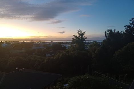 Photo of property in 20 Maire Street, Tahunanui, Nelson, 7011