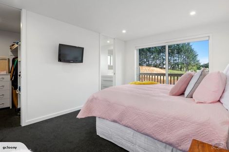 Photo of property in 54 Ainslee Street, Highlands Park, New Plymouth, 4312