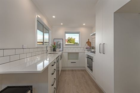 Photo of property in 17b Alfred Street, Roslyn, Palmerston North, 4414