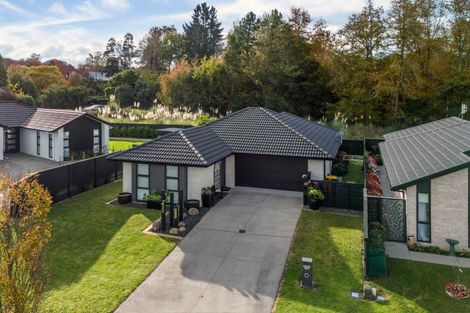Photo of property in 11 Mural Drive, Katikati, 3129