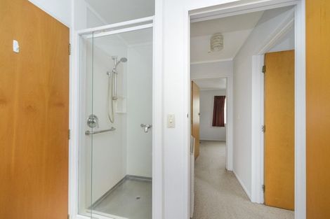 Photo of property in 237b Ruahine Street, Roslyn, Palmerston North, 4414