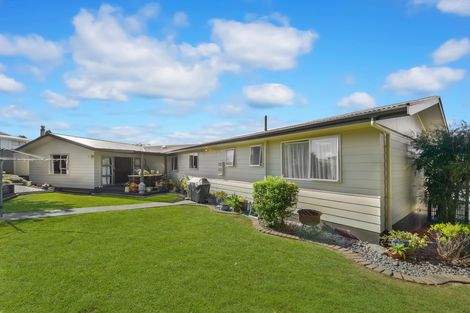 Photo of property in 52 Snell Street, Morrinsville, 3300