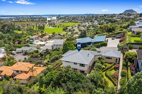 Photo of property in 10a Tollemache Place, Otumoetai, Tauranga, 3110