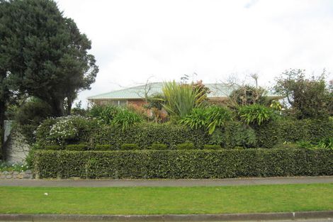 Photo of property in 109 Kawiu Road, Levin, 5510