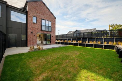 Photo of property in 51 Musselwhite Terrace, Chartwell, 3210