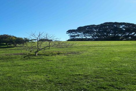 Photo of property in 59 Pohutukawa Drive, Waiotahe, Opotiki, 3198