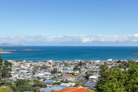 Photo of property in 42 Buckingham Street, Melrose, Wellington, 6023