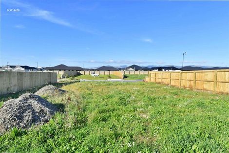 Photo of property in 65 Waikirikiri Avenue, Lincoln, 7608