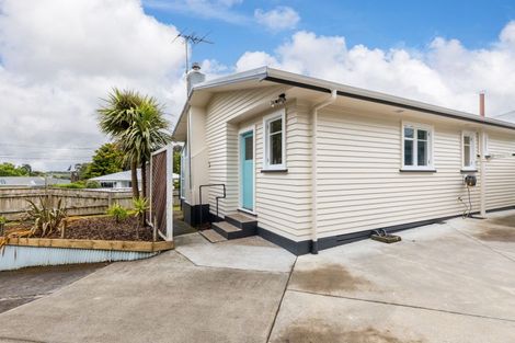 Photo of property in 217 Tukapa Street, Westown, New Plymouth, 4310