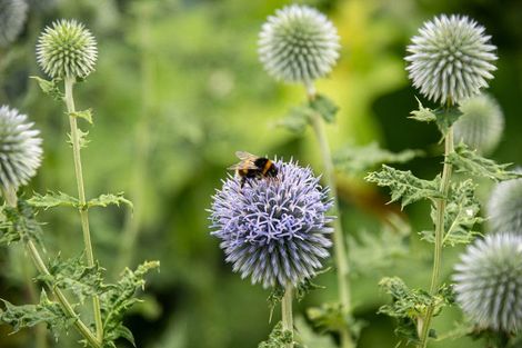 Photo of property in 52 Rayner Road, Huntly, 3700