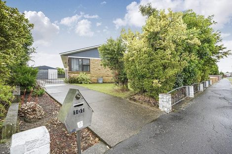 Photo of property in 101 Mount View Road, Melville, Hamilton, 3206