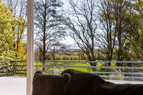 Photo of property in 189 Fisher Lane, Galloway, Alexandra, 9393