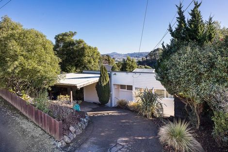 Photo of property in 4 Heath Street, Andersons Bay, Dunedin, 9013