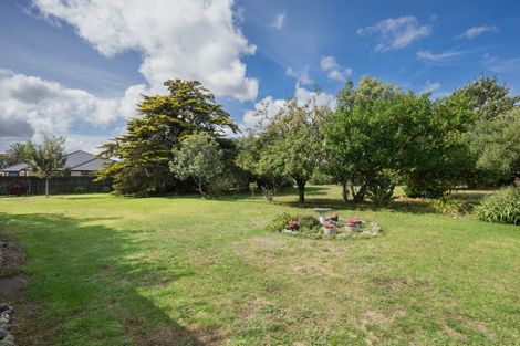 Photo of property in 46 Keepa Street, Levin, 5510