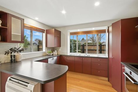 Photo of property in 219 Matsons Avenue, Papanui, Christchurch, 8053