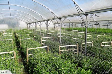 Photo of property in 1066 Egmont Road, Egmont Village, New Plymouth, 4372