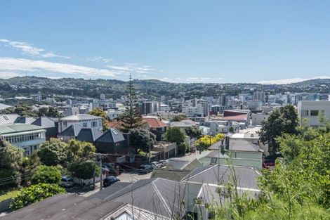 Photo of property in 77 Majoribanks Street, Mount Victoria, Wellington, 6011