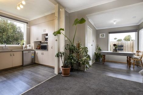 Photo of property in 25 Stratford Street, Blenheim, 7201