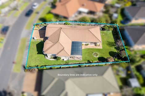 Photo of property in 5 Highfields Terrace, Henderson, Auckland, 0612