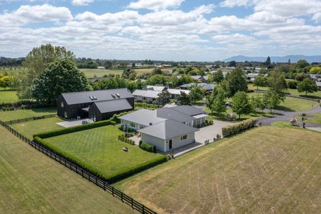 Photo of property in 9 Danehill Close, Matamata, 3400