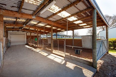 Photo of property in 78 Tower Road, Matamata, 3471