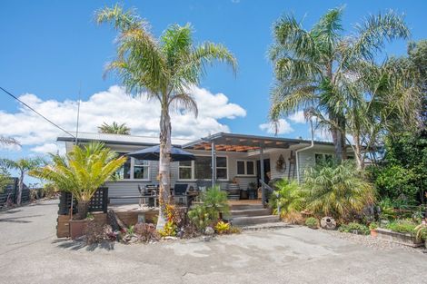 Photo of property in 221 Whirinaki Road, Eskdale, Napier, 4182