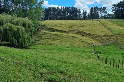 Photo of property in 72 Lindsay Road, Levin, 5510