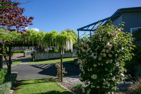 Photo of property in 6 Portsmouth Place, Matamata, 3400