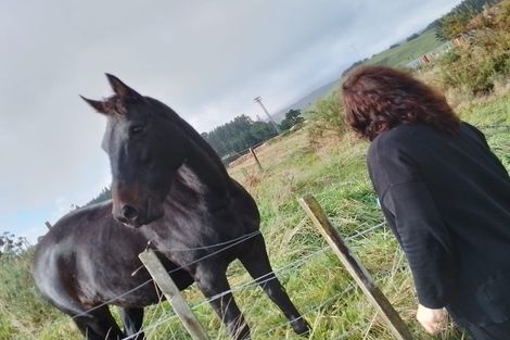 Photo of property in 5060 State Highway 1, Kinleith, Tokoroa, 3491