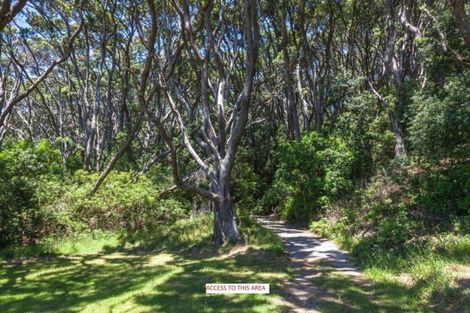 Photo of property in 162d Whitipirorua Road, Onemana, Whangamata, 3691