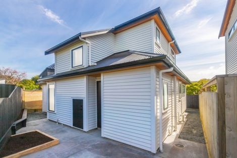 Photo of property in 45b Riro Street, Point Chevalier, Auckland, 1022
