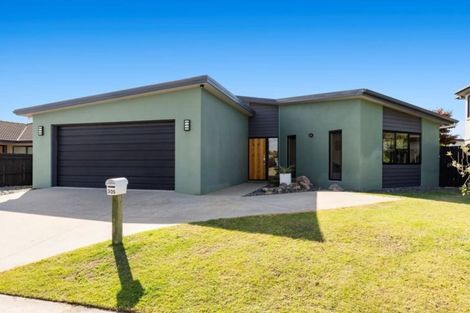 Photo of property in 305 Carmichael Road, Brookfield, Tauranga, 3110