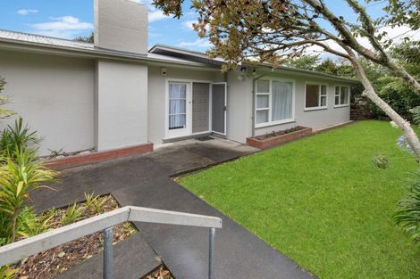 Photo of property in 11 Bristow Street, Saint Johns Hill, Whanganui, 4501