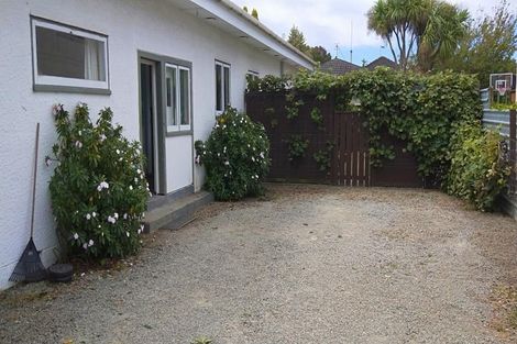 Photo of property in 87 Guy Avenue, Takaro, Palmerston North, 4410