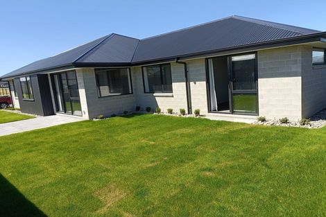 Photo of property in 13 Fairmaid Street, Lincoln, 7608