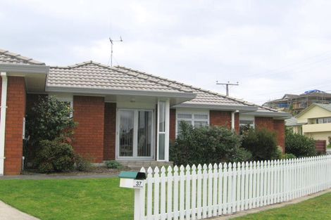 Photo of property in 37 Western Road, Bellevue, Tauranga, 3110