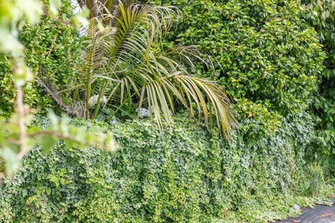 Photo of property in 14 Marlborough Street, Greymouth, 7805