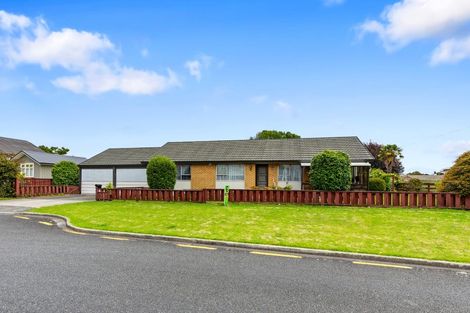 Photo of property in 39 Twentysecond Avenue, Gate Pa, Tauranga, 3112