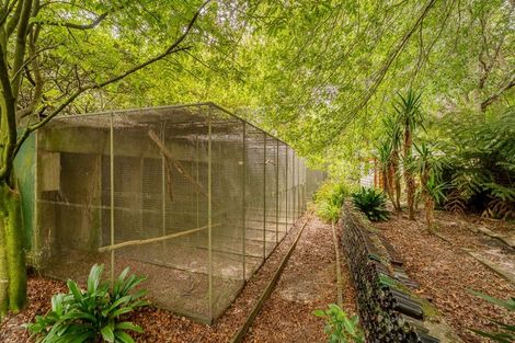 Photo of property in 365 Mill Creek Road, Kaimarama, Whitianga, 3591