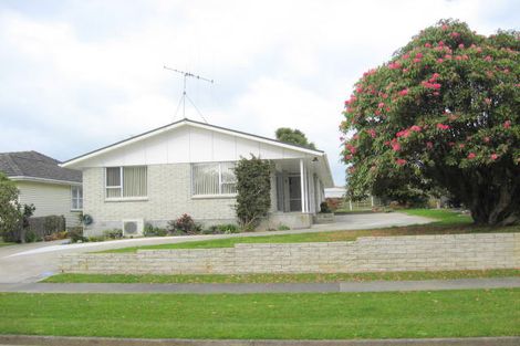 Photo of property in 107 Kawiu Road, Levin, 5510