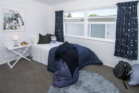 Photo of property in 29 Daniell Street, Solway, Masterton, 5810