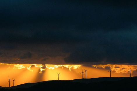 Photo of property in 38 Tea Tree Lane, Woodridge, Wellington, 6037